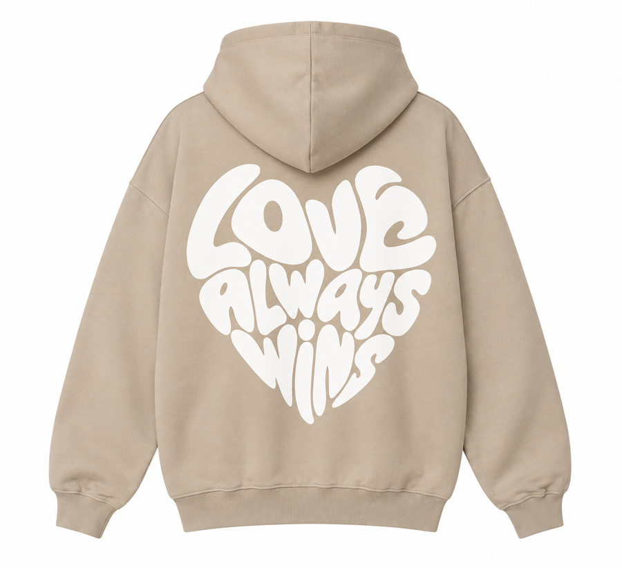 Love always wins oversized Hoodie